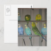 CARTE POSTALE IMG_0348 (Devant / Derrière)