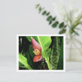 CARTE POSTALE IMG_0432 (Debout devant)