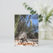 CARTE POSTALE IMG_0830, ARIZONA (Debout devant)