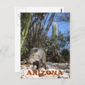 CARTE POSTALE IMG_0830, ARIZONA (Devant / Derrière)