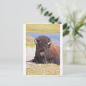 CARTE POSTALE IMG_1227_1 (Debout devant)