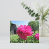 CARTE POSTALE IMG_1506 (Debout devant)