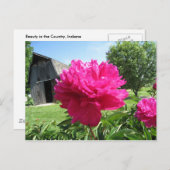 CARTE POSTALE IMG_1506 (Devant / Derrière)