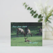 CARTE POSTALE IMG_1652 NARA (Debout devant)