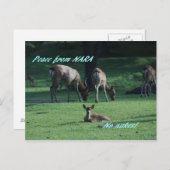 CARTE POSTALE IMG_1652 NARA (Devant / Derrière)