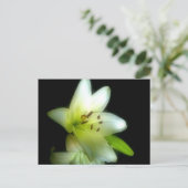 CARTE POSTALE IMG_1980 (Debout devant)