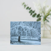 Carte Postale IMG_2425_2, Une chute de neige du dimanche matin à (Debout devant)