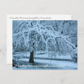 Carte Postale IMG_2425_2, Une chute de neige du dimanche matin à (Devant / Derrière)