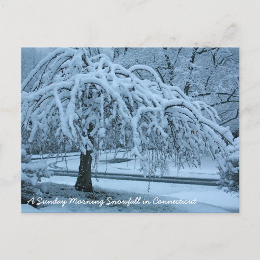 Carte Postale IMG_2425_2, Une chute de neige du dimanche matin à (Devant)