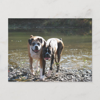 CARTE POSTALE IMG_3178