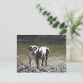 CARTE POSTALE IMG_3178 (Debout devant)
