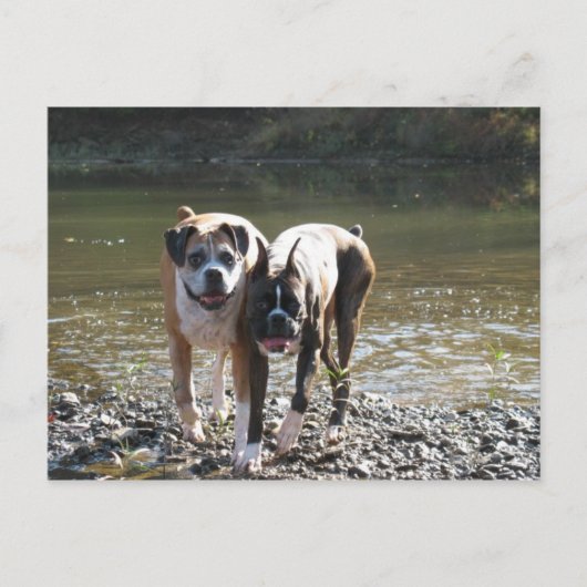 CARTE POSTALE IMG_3178 (Devant)