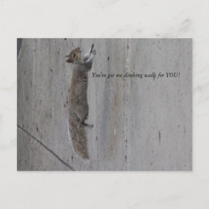 Carte Postale IMG_3995, Vous m'avez des murs d'escalades pour VO