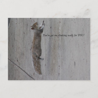 Carte Postale IMG_3995, Vous m'avez des murs d'escalades pour VO