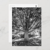 CARTE POSTALE IMG_5219.JPG (Devant / Derrière)