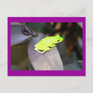 CARTE POSTALE IMG_6159