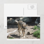 CARTE POSTALE IMG_7805 (Devant / Derrière)