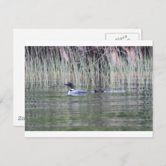 CARTE POSTALE IMG_8448_1 (Devant / Derrière)