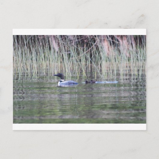 CARTE POSTALE IMG_8448_1 (Devant)