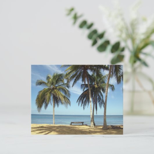 CARTE POSTALE IMGP2729 (Debout devant)