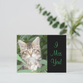 Carte Postale IMisYou ! Kitten (Debout devant)