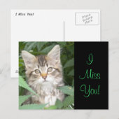 Carte Postale IMisYou ! Kitten (Devant / Derrière)