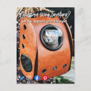 carte postale immobilière drôle chat dans un espac