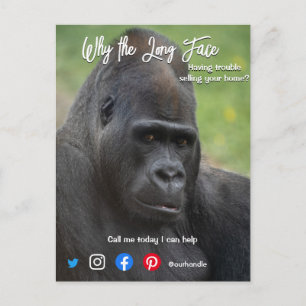 carte postale immobilière longue face