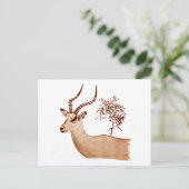 Carte Postale Impala Antelope Dessin animalier Sketch (Debout devant)