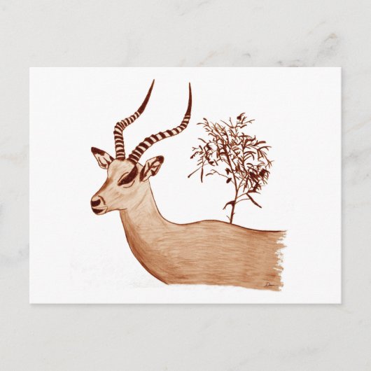 Carte Postale Impala Antelope Dessin animalier Sketch (Devant)