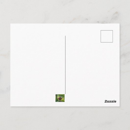 Carte Postale Impatiens dans un panier à pendre (Dos)