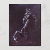 Carte Postale Imperator (Devant)