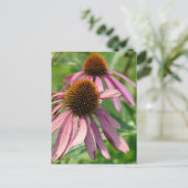 Carte Postale Imperfection (Debout devant)