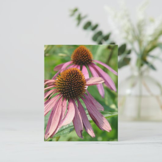 Carte Postale Imperfection (Debout devant)