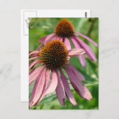 Carte Postale Imperfection (Devant / Derrière)