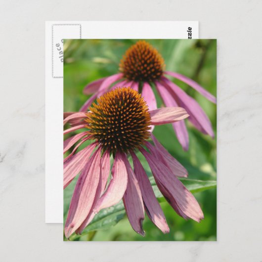 Carte Postale Imperfection (Devant / Derrière)