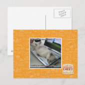 Carte Postale Impossible de répondre (Devant / Derrière)