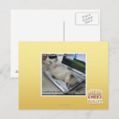 Carte Postale Impossible de répondre (Devant / Derrière)