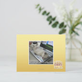 Carte Postale Impossible de répondre (Debout devant)