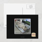 Carte Postale Impossible de répondre (Devant / Derrière)