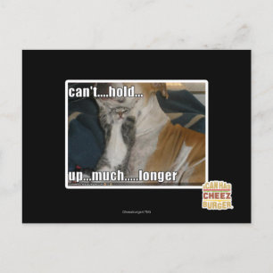 Carte Postale Impossible de tenir plus longtemps