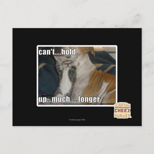 Carte Postale Impossible de tenir plus longtemps (Devant)