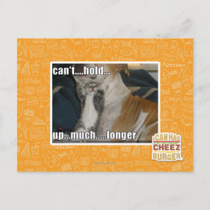 Carte Postale Impossible de tenir plus longtemps