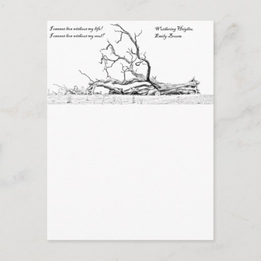 Carte Postale Impossible De Vivre Sans Mon Âme Qui Attaque Les H (Devant)