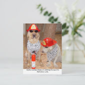 Carte Postale Imposter (Debout devant)