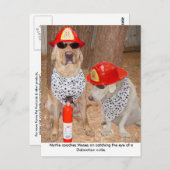 Carte Postale Imposter (Devant / Derrière)