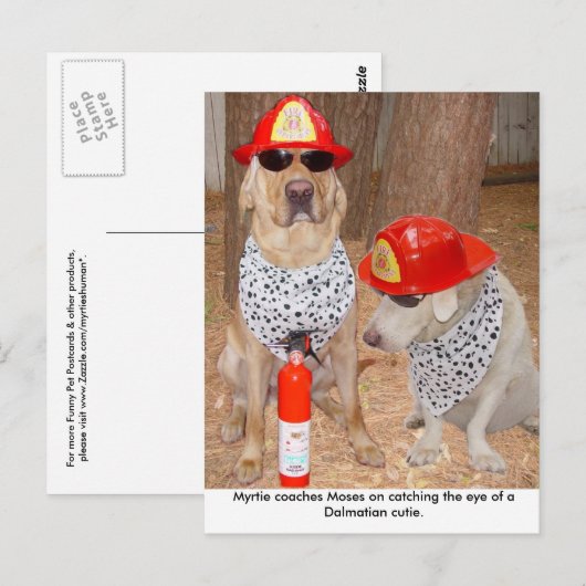 Carte Postale Imposter (Devant / Derrière)