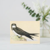 Carte Postale Impression antique d'une vague alpine (Debout devant)
