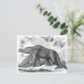 Carte Postale Impression antique Megalosaurus (Debout devant)
