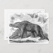 Carte Postale Impression antique Megalosaurus (Devant / Derrière)